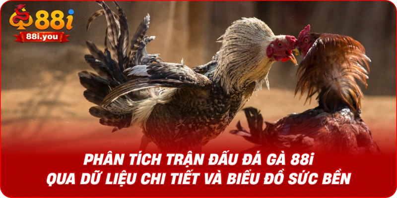 Phân tích trận đấu Đá gà 88i qua dữ liệu chi tiết và biểu đồ sức bền