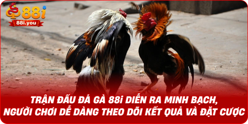Trận đấu Đá gà 88i diễn ra minh bạch, người chơi dễ dàng theo dõi kết quả và đặt cược